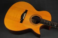 Ervin Somogyi OM Cutaway_11