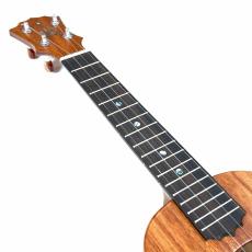 KoAloha KCM-10/UPT Pikake コンサートサイズ【ローン金利0%】【オンラインストア限定】_10