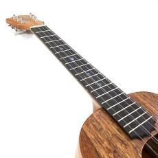 KoAloha KTM-16/Imaikalani Pikake 6弦テナーサイズ【ローン金利0%】【オンラインストア限定】_10