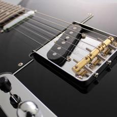 FUJIGEN Neo Classic NTE Series NTE100RALL-BK -Black-【ローン金利0%】【オンラインストア限定】_5