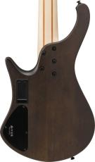 Ibanez EHB605 -WNF (Walnut Flat)-【オンラインストア限定】【ローン金利0%】_4