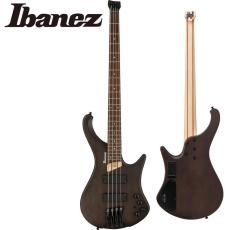 Ibanez EHB600 -WNF  (Walnut Flat)-【オンラインストア限定】【ローン金利0%】