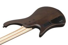 Ibanez EHB600 -WNF  (Walnut Flat)-【オンラインストア限定】【ローン金利0%】_6