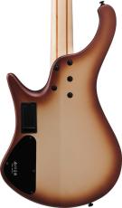 Ibanez EHB600 -CCM (Charred Champagne Burst Matte)-【オンラインストア限定】【ローン金利0%】_4