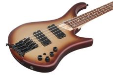 Ibanez EHB600 -CCM (Charred Champagne Burst Matte)-【オンラインストア限定】【ローン金利0%】_5