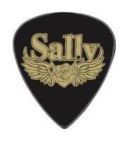 DEAN 【10枚セット】Sally Pick 2026 オリジナルピック10枚セット  【オンラインストア限定】