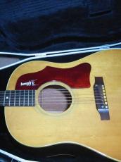 Gibson J-50 / Pick-guard Logo・Jacaranda Fingerboard & Upper Belly Bridge・Adjustable Saddle・Spruce Top・Mahogany Side and Back・Neck Width at Nut 40mm【With  Hard Case】1968年製_8