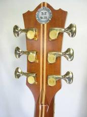 Terry's Terry TJ-100 Special Custom /　Abalone Trim and Rosette・Solid Spruce Top・Solid Honduras Rosewood Side and Back・Tortoiseshell Pickguard・With Sunrise Pickup【With Original Hard Case】 1999年製_5