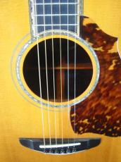 Terry's Terry TJ-100 Special Custom /　Abalone Trim and Rosette・Solid Spruce Top・Solid Honduras Rosewood Side and Back・Tortoiseshell Pickguard・With Sunrise Pickup【With Original Hard Case】 1999年製_7