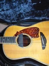 Terry's Terry TJ-100 Special Custom /　Abalone Trim and Rosette・Solid Spruce Top・Solid Honduras Rosewood Side and Back・Tortoiseshell Pickguard・With Sunrise Pickup【With Original Hard Case】 1999年製_8