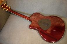 Taylor T5-C CS【USED/2005年製】_3