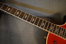 Taylor T5-C CS【USED/2005年製】_8