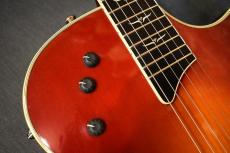 Taylor T5-C CS【USED/2005年製】_10