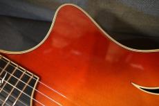 Taylor T5-C CS【USED/2005年製】_11