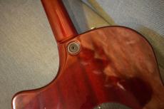 Taylor T5-C CS【USED/2005年製】_14