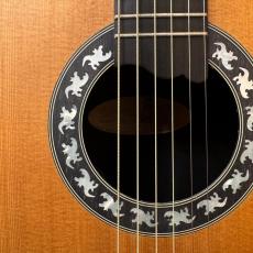 Ovation P-777_2