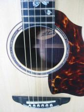Terry's Terry Premium Terry PTJ-100 MS 45th Anniversary “Sakura”/ Abalone Sakura Inlay・Spruce Top・Indian Rosewood Side and Back・Tortoiseshell Pick guard 【With Original Case】 2018年製_8