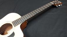 Taylor Taylor 114ce-S _7