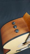 Taylor Taylor 114ce-S _11