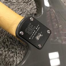 Paul Reed Smith [PRS] SE Silver Sky Maple Overland Grey -John Mayer Signature Model-【ジョン・メイヤー】_7