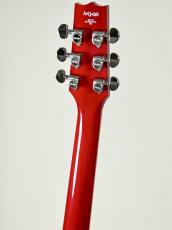 Heritage Standard H-535 -Trans Cherry-【3.63㎏】_8