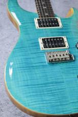 Paul Reed Smith [PRS] SE Custom 24 ~Blue Matteo~ #CTIH028785 [3.63kg]_3