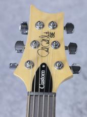 Paul Reed Smith [PRS] SE Custom 24 ~Blue Matteo~ #CTIH028785 [3.63kg]_6