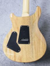 Paul Reed Smith [PRS] SE Custom 24 ~Blue Matteo~ #CTIH028785 [3.63kg]_8