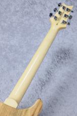 Paul Reed Smith [PRS] SE Custom 24 ~Blue Matteo~ #CTIH028785 [3.63kg]_9