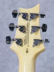 Paul Reed Smith [PRS] SE Custom 24 ~Blue Matteo~ #CTIH028785 [3.63kg]_10