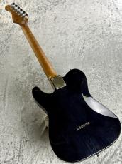 Bacchus TACTICS-STD/RSM ASH STB  #GI19512 [4.34kg]_10