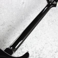 Paul Reed Smith [PRS] SE Custom 24 ~Emerld~ #CTI H036308 [3.35kg][良杢個体]_8