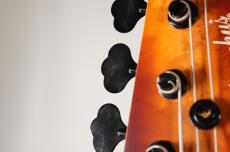 Bacchus WOODLINE4-Premium/BM -Brown Vertical Gradation- [4.05kg]_11