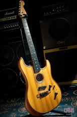 Fender American Acoustasonic Stratocaster / 2020_2