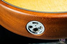 Fender American Acoustasonic Stratocaster / 2020_7