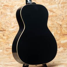 Epiphone Inspired by Gibson L-00 Standard VS_2