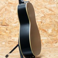 Epiphone Inspired by Gibson L-00 Standard VS_5