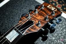 ESP ILP-IV Marrone 1997 (INORAN Signature Model)_2