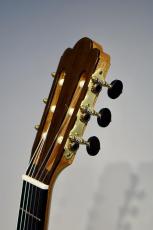 ガブリエル・ロディ Master series トーレスモデル_4