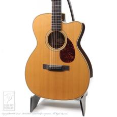 Collings OM-2H Cutaway