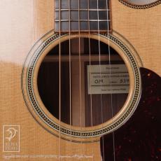 Santa Cruz OM Cutaway (Short Scale)_13