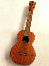 Kamaka 【New Model!!!】 HF-2 Kukui #25K0225 【コンサート/ハワイアンコアトップ単板】_2