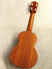 Kamaka 【New Model!!!】 HF-2 Kukui #25K0225 【コンサート/ハワイアンコアトップ単板】_4