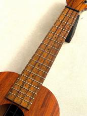 Kamaka 【New Model!!!】 HF-2 Kukui #25K0225 【コンサート/ハワイアンコアトップ単板】_7