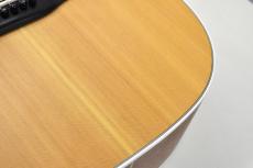 VINCENT 【クロサワ横浜店】【チョイ傷特価】【635mmスケール】VN-3 Standard #90468【48回無金利分割可能】_6