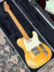 Fender Telecaster 1974-1975 OWH/M_2