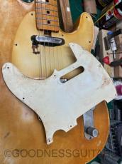Fender Telecaster 1974-1975 OWH/M_10