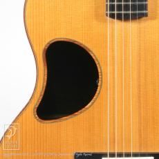 McPherson MG-4.5XP (Carpathian Red Spruce / Ziricote)_11