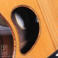 McPherson MG-4.5XP (Carpathian Red Spruce / Ziricote)_12