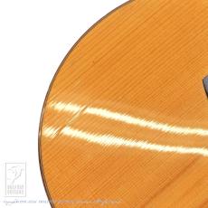 McPherson MG-4.5XP (Carpathian Red Spruce / Ziricote)_14